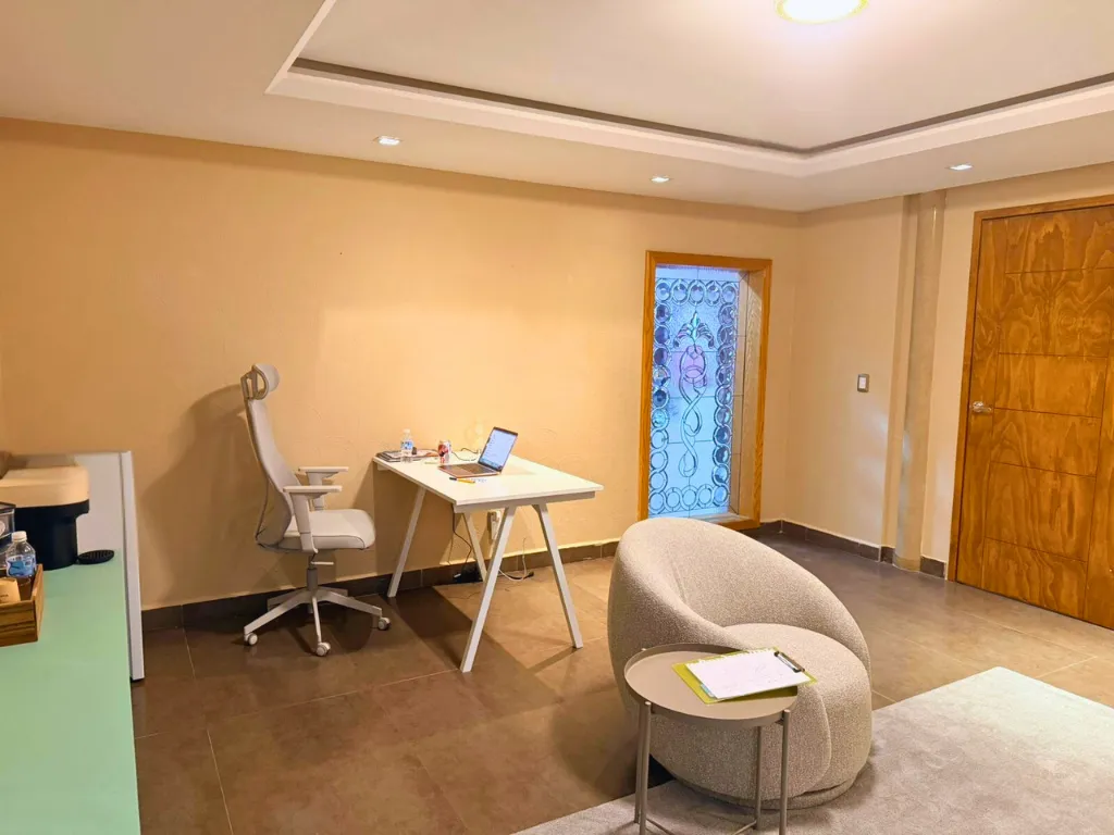 Consultorio de Solace: sala de espera con luz natural